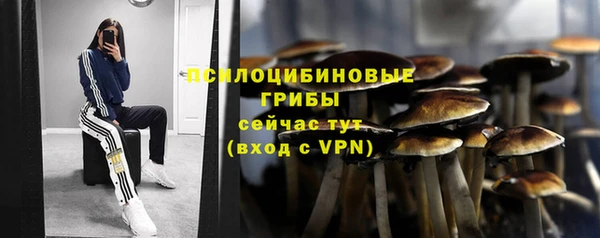 дживик Алексин