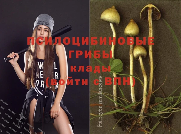 гидропоника Абдулино