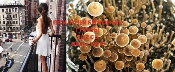 mdpv Абаза