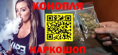 Альфа ПВП Гатчина