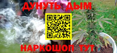Альфа ПВП Гатчина