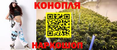 Альфа ПВП Гатчина