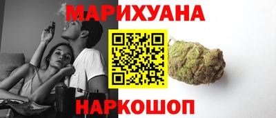 Альфа ПВП Гатчина