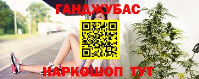 Альфа ПВП Гатчина