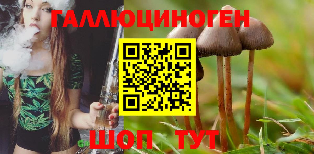 Псилоцибиновые грибы мухоморы Карпинск