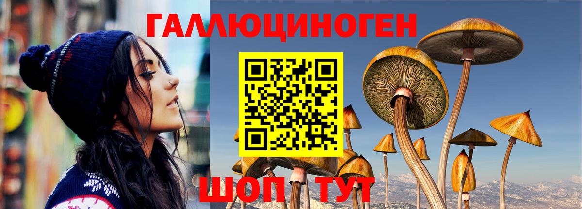 Псилоцибиновые грибы GOLDEN TEACHER  Галлюциногенные грибы ЛСД  Вход с VPN  Карпинск 